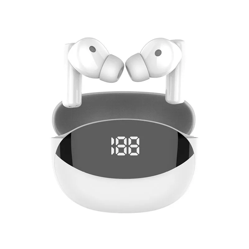 Shaun Store EchoPods